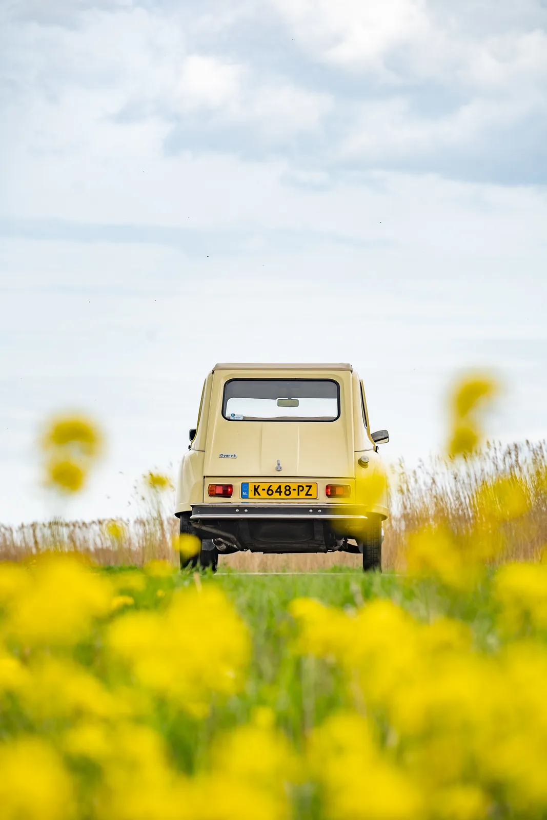 Citroën Dyane (1980) — foto 1