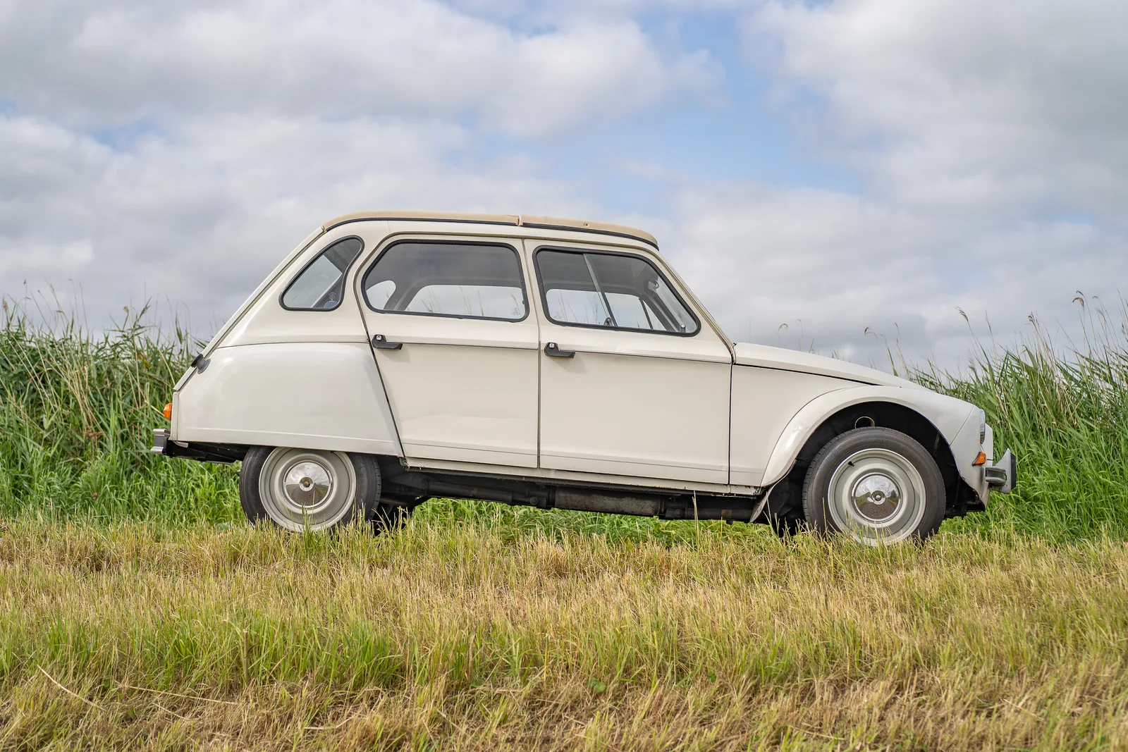 Citroën Dyane (1983) — foto 1