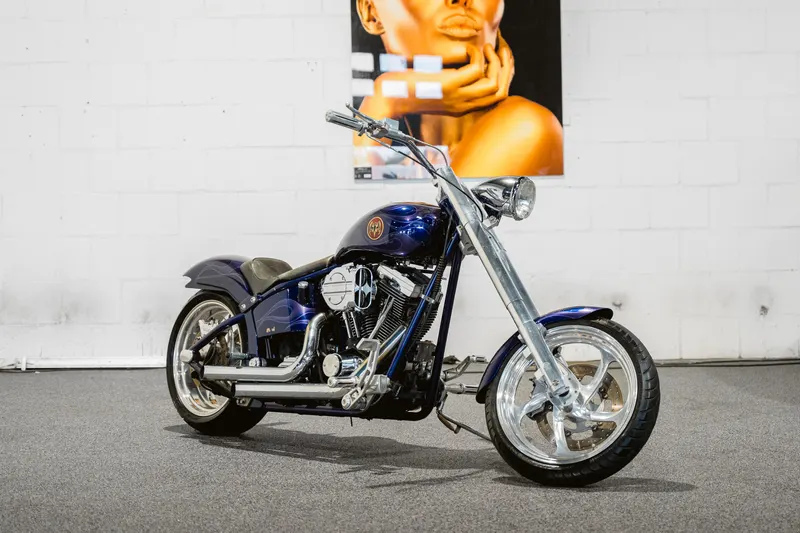 Harley-Davidson Custom Build 1 Of (2003)
