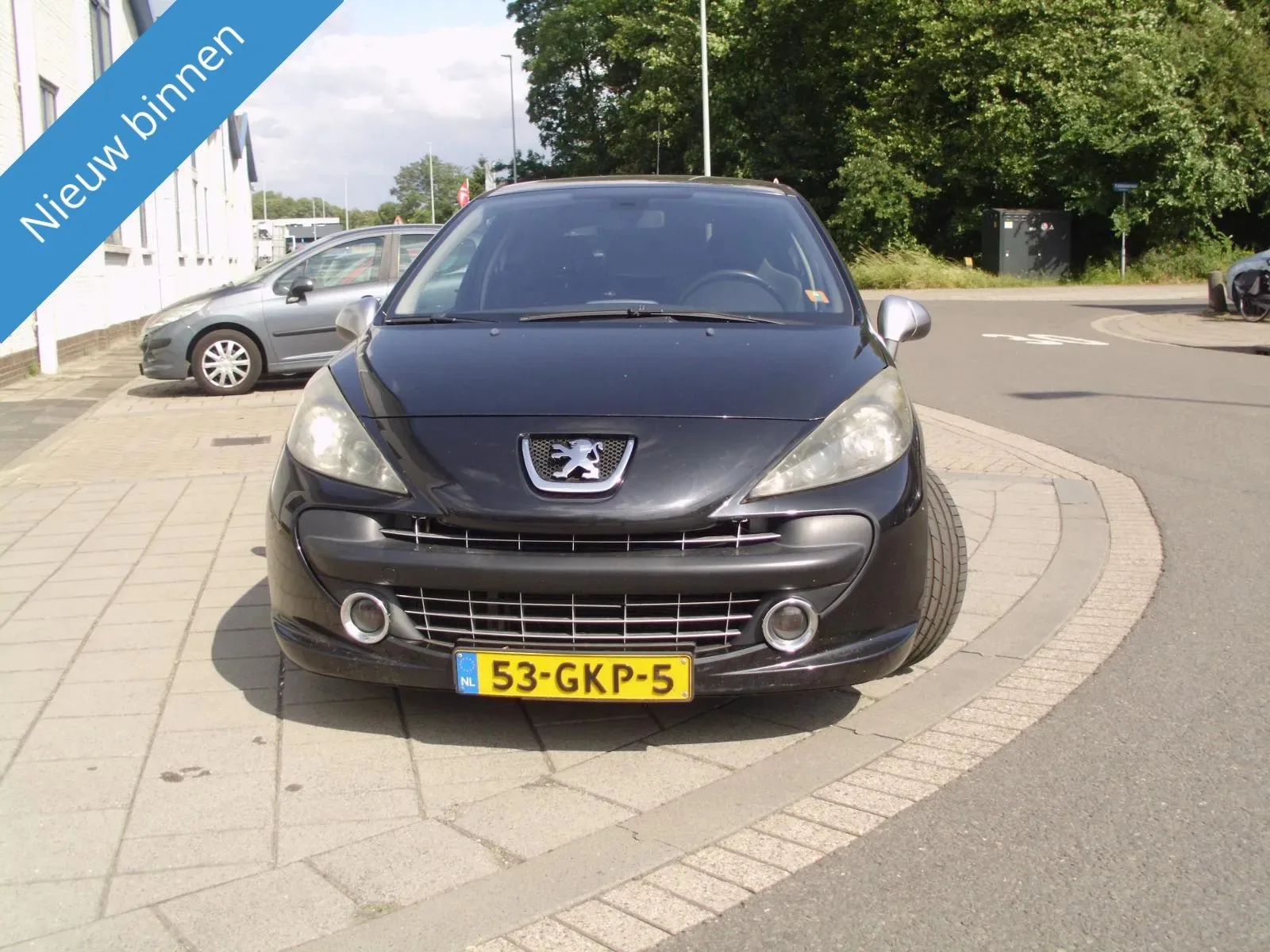 Peugeot 207 (2008) — foto 1
