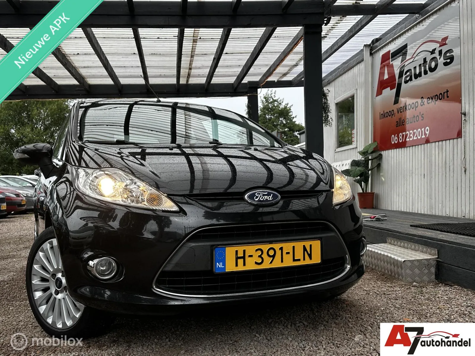 Ford Fiesta (2010) — foto 1