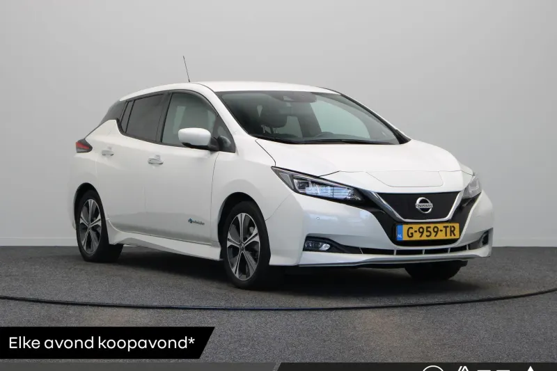 Nissan Leaf (2019)
