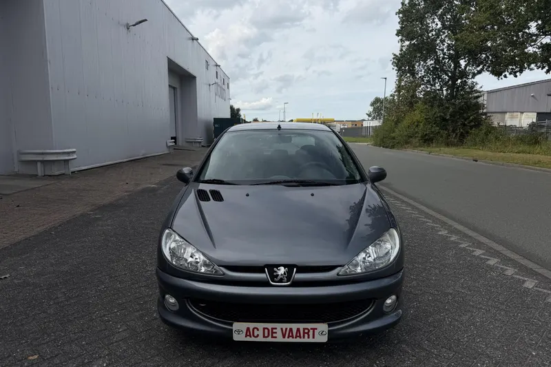 Peugeot 206 (2008)