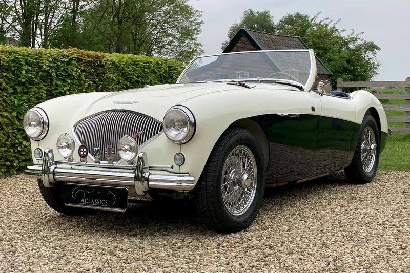Austin Healey (1954)