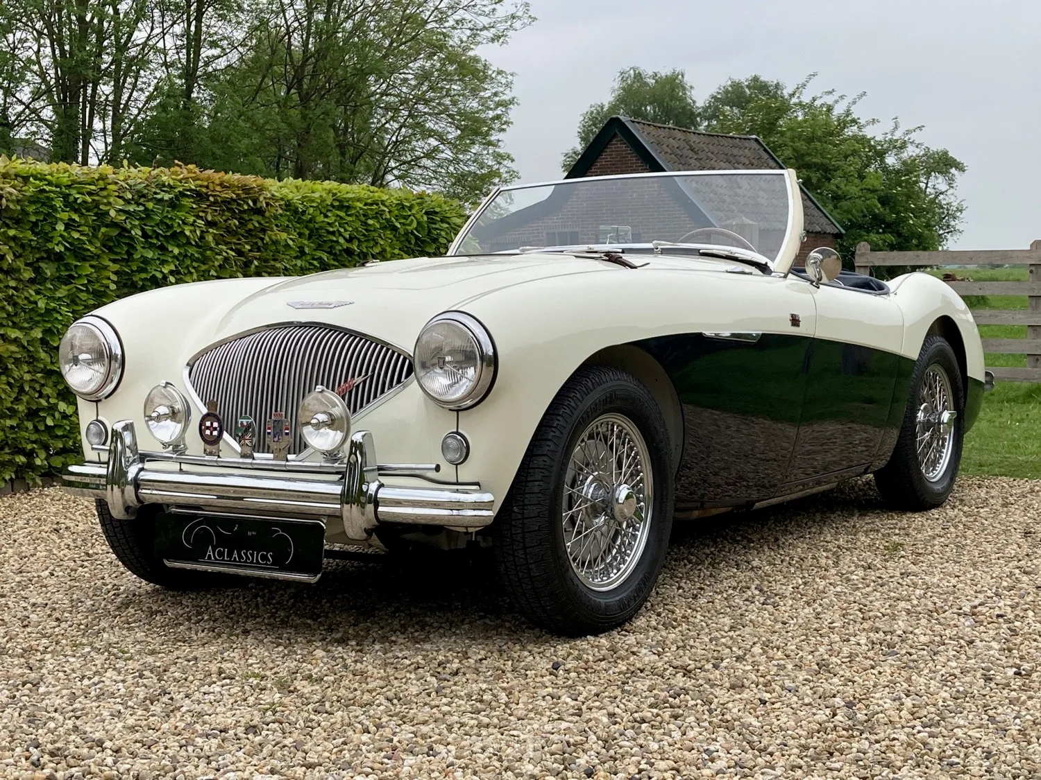 Austin Healey (1954) — foto 1