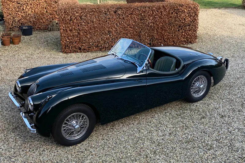 Jaguar Onbekend (1954)