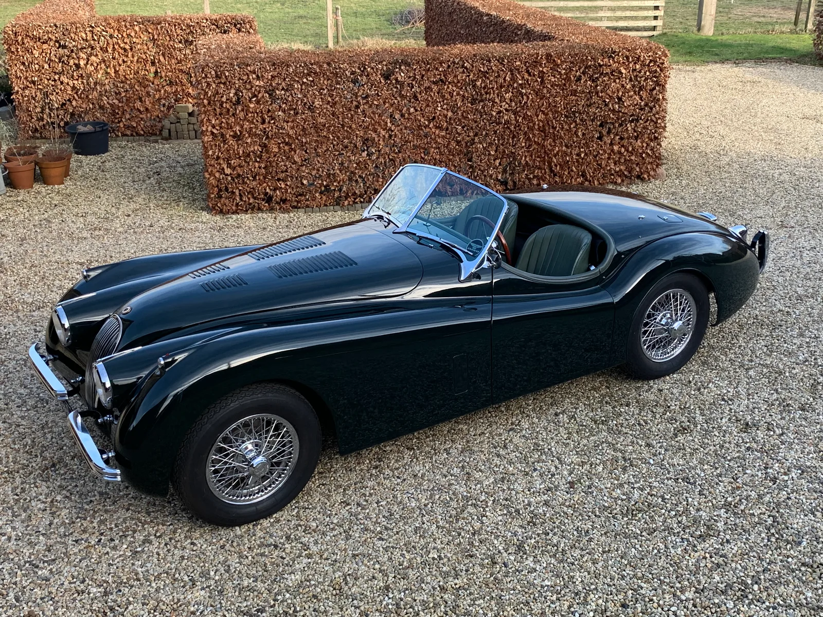 Jaguar Jaquar (1954) — foto 1