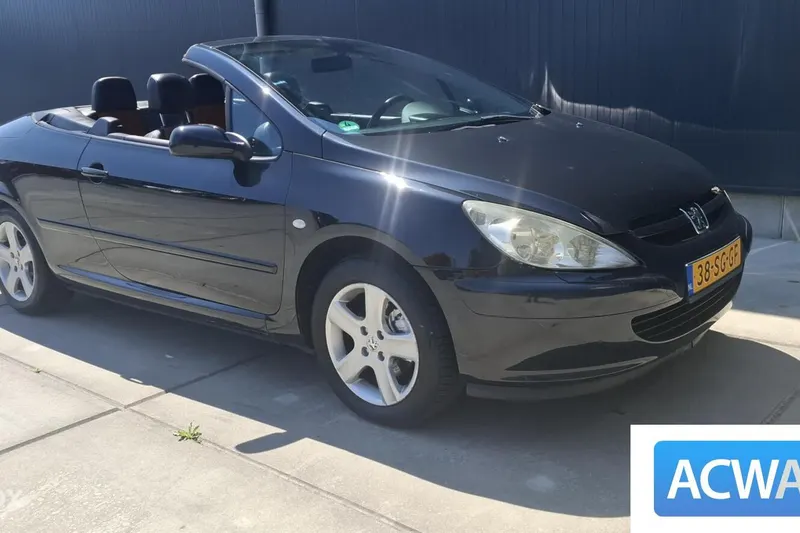 Peugeot 307 (2006)