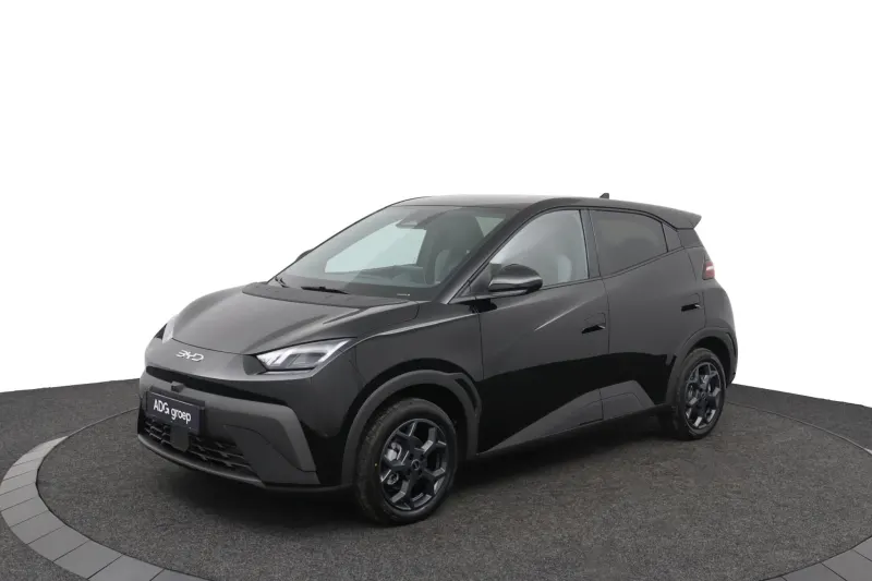 BYD Dolphin Surf (2026)