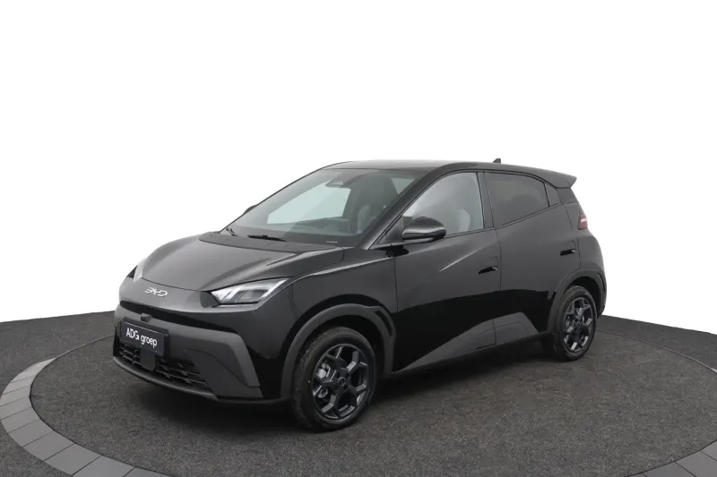 BYD Dolphin Surf (2026)
