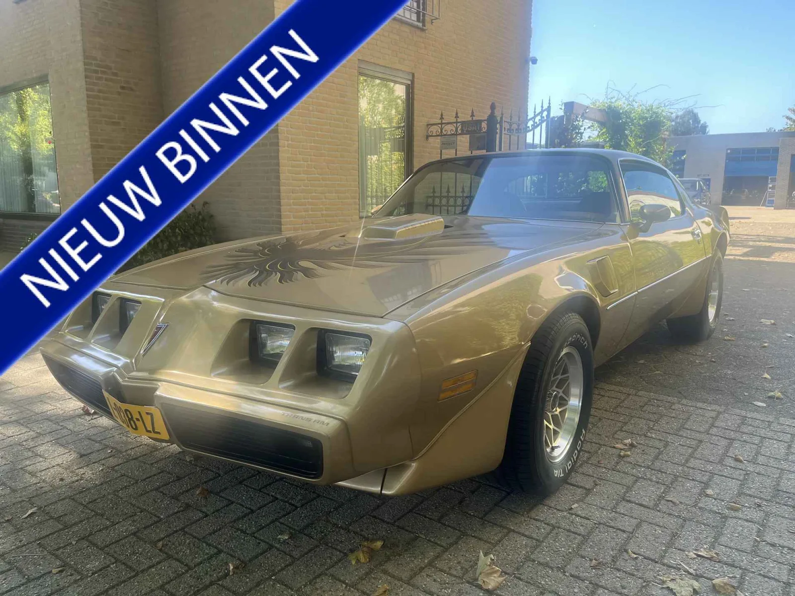Pontiac Firebird (1979) — foto 1