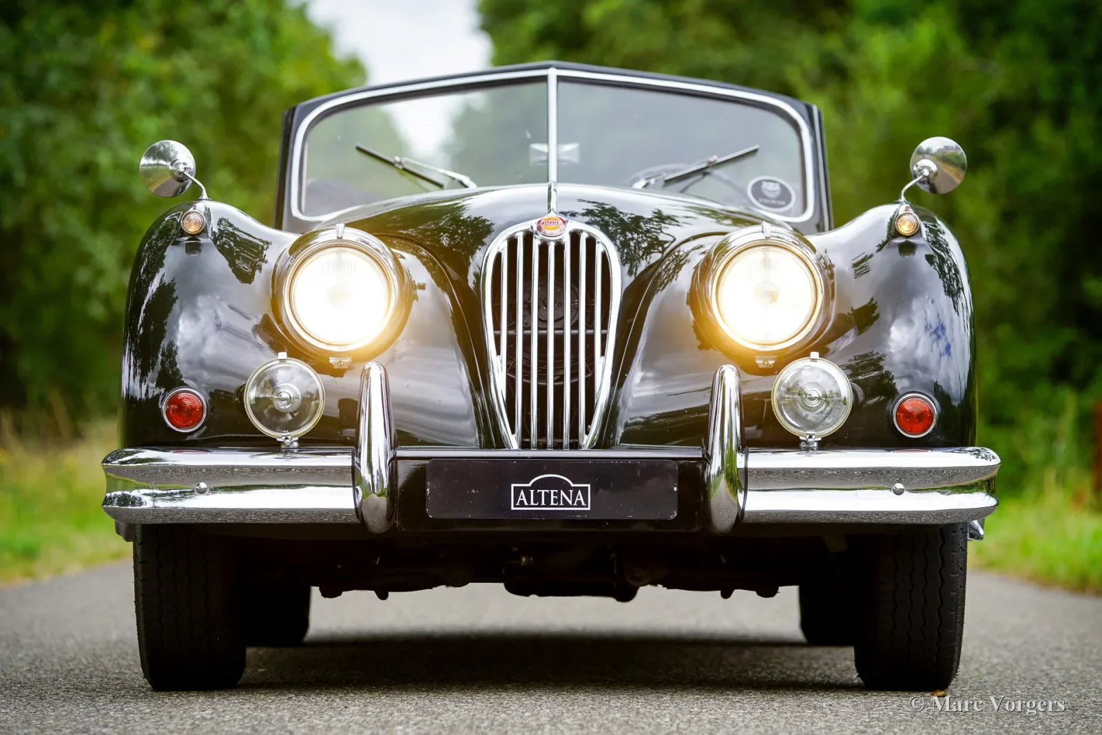 Jaguar XK (1955) — foto 1
