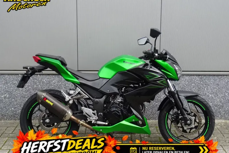 Kawasaki Z 300 (2017)