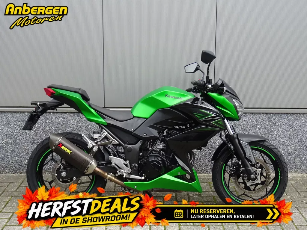 Kawasaki Z 300 (2017) — foto 1