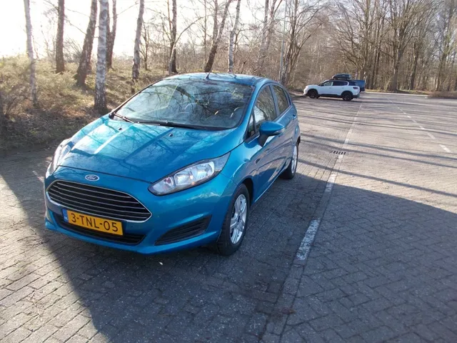 Ford Fiesta (2014) — foto 1