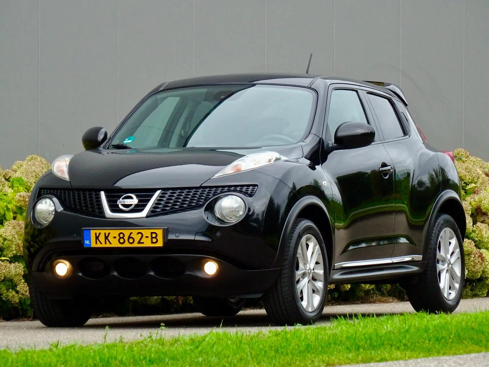 Nissan Juke (2011) — foto 1