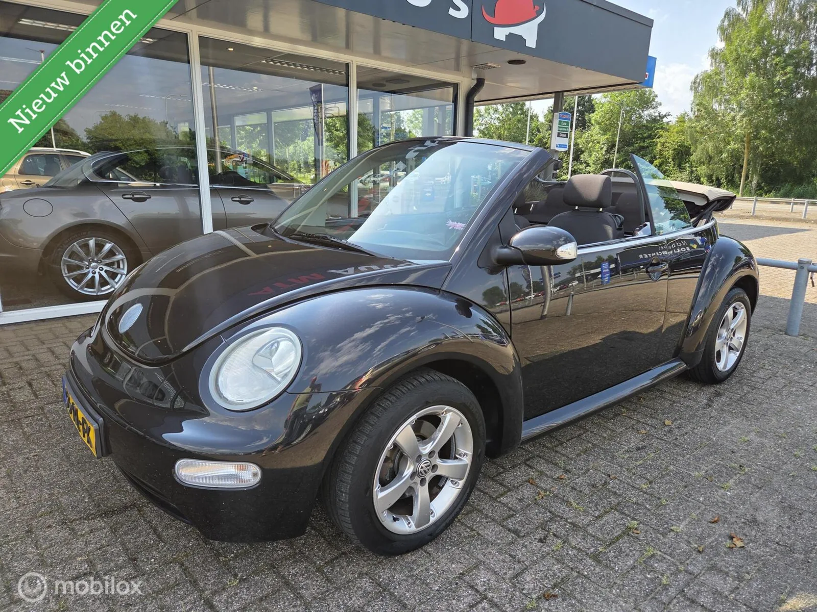 Volkswagen New Beetle (2005) — foto 1