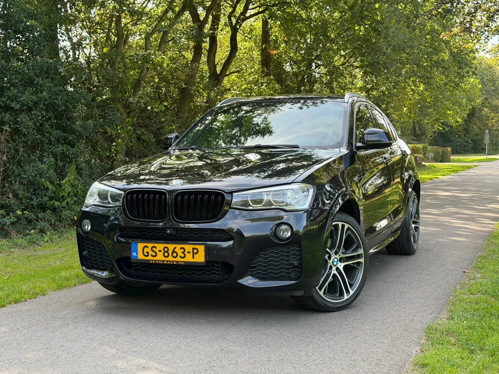BMW X4 (2015) — foto 1