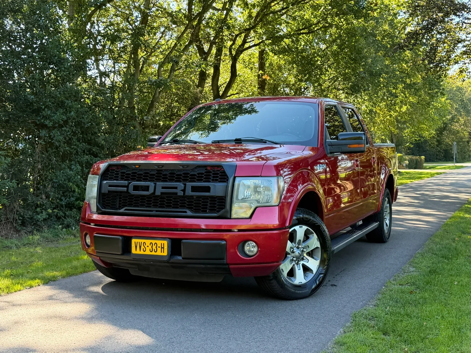 Ford F-150 (2010) — foto 1