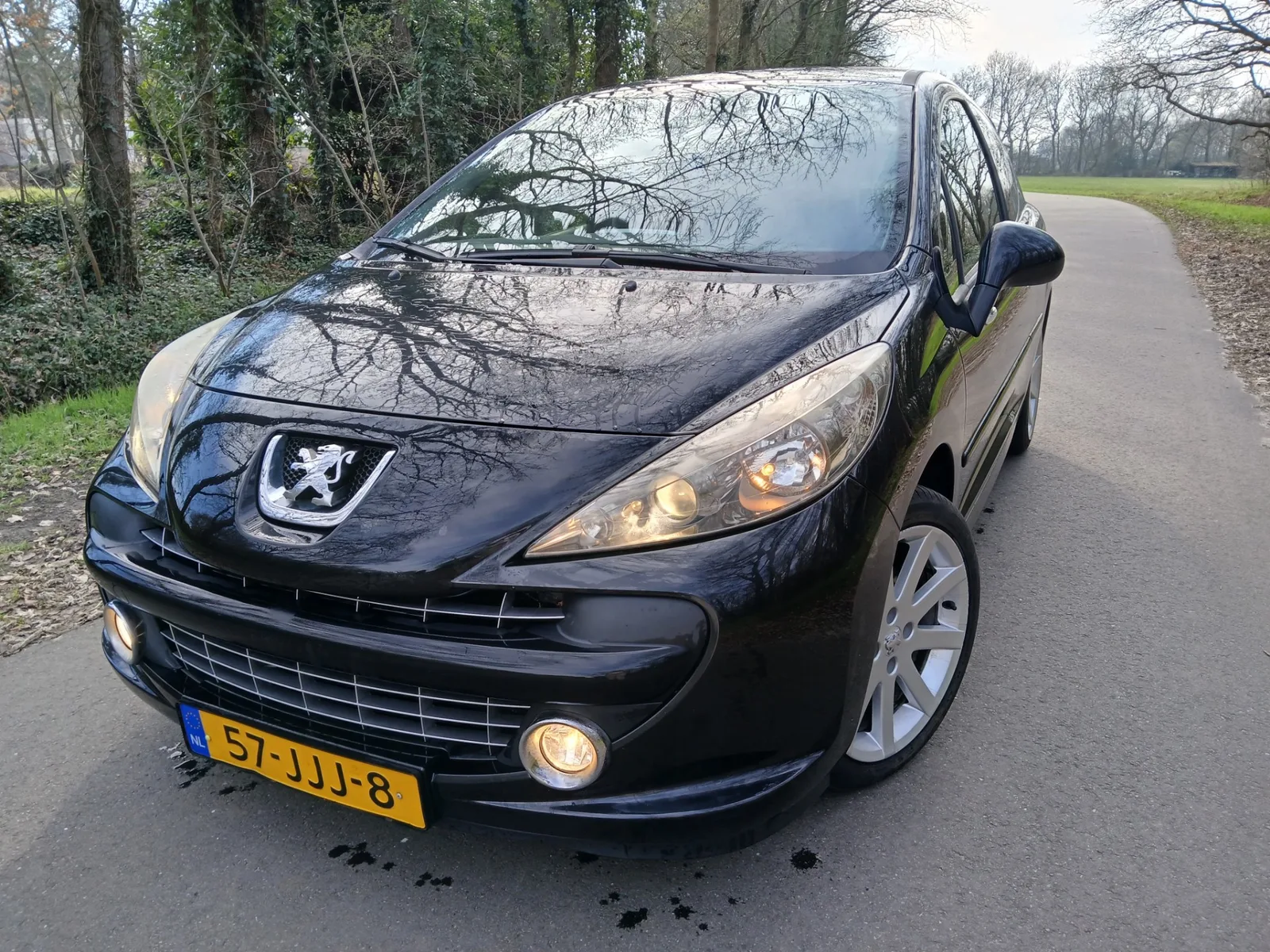 Peugeot 207 (2009) — foto 1