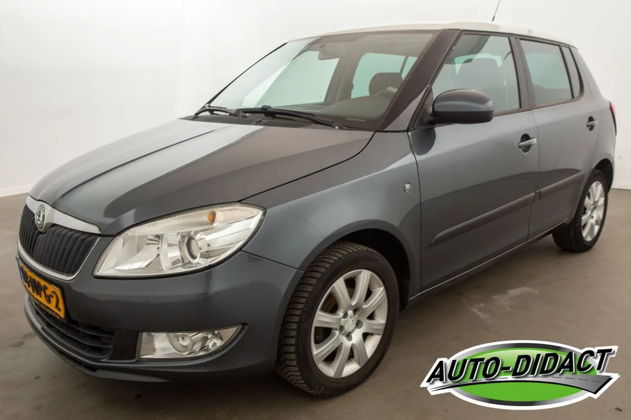 Škoda Fabia (2010) — foto 1