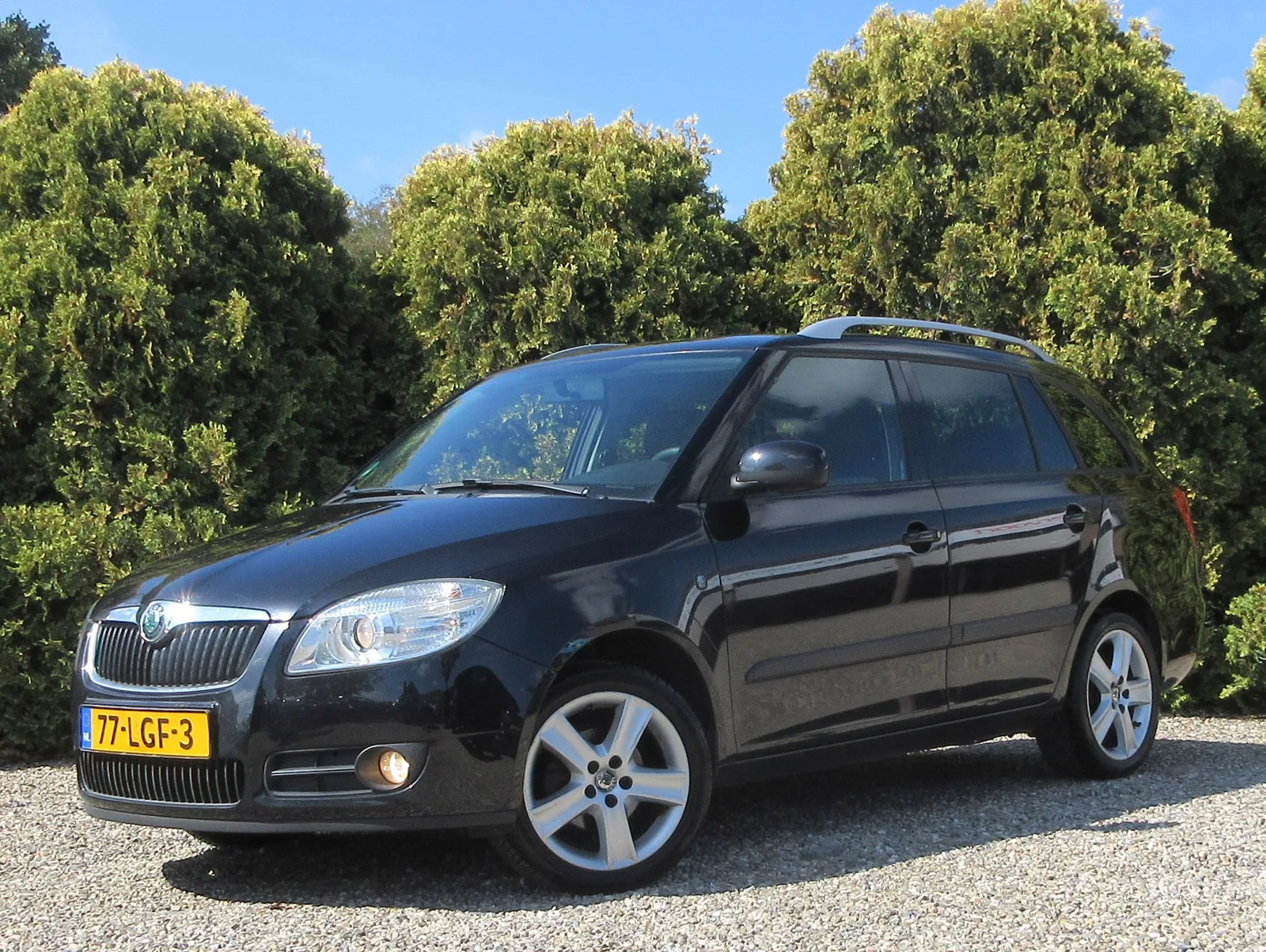 Škoda Fabia (2010) — foto 1