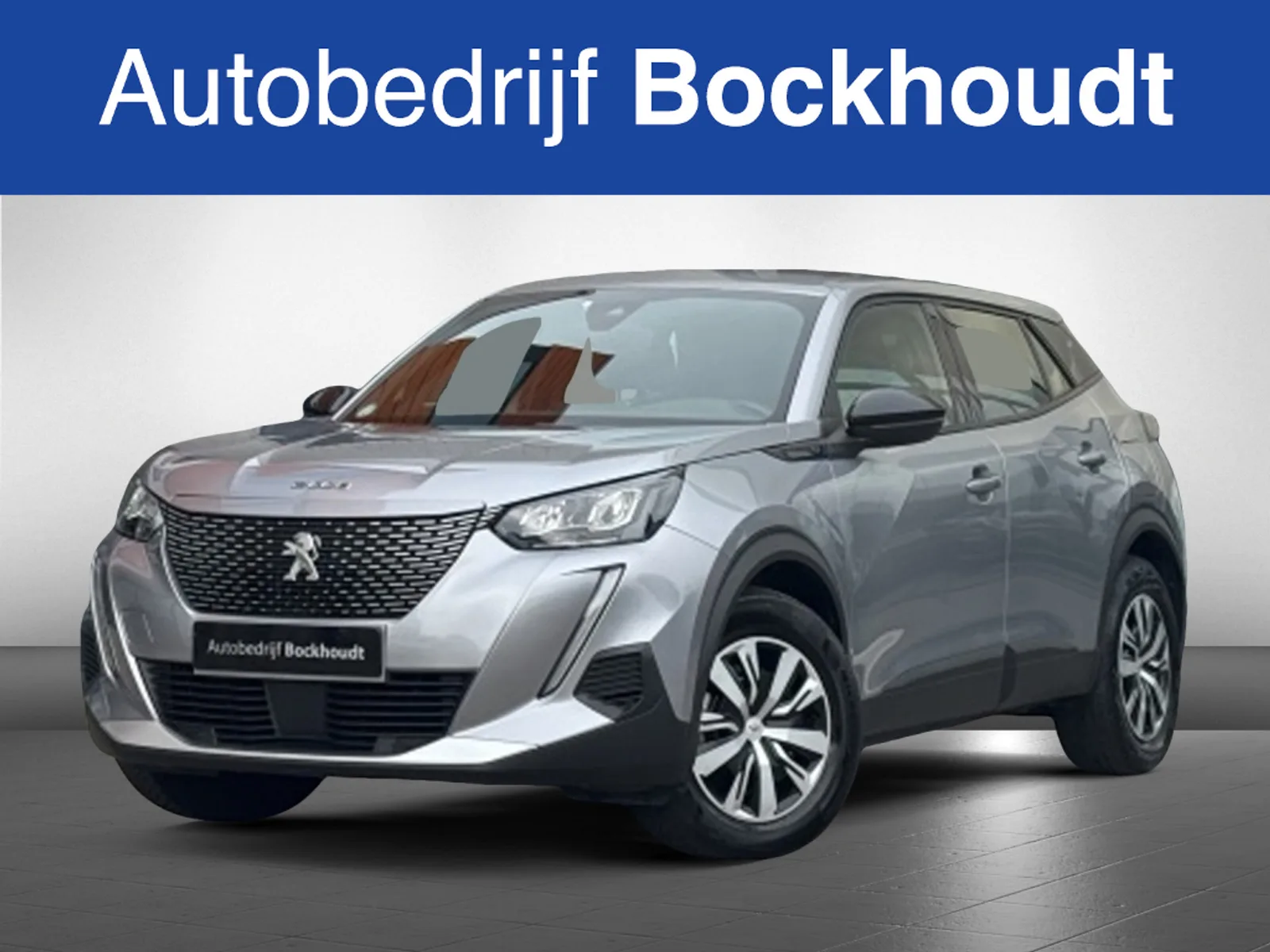 Peugeot e-2008 (2008) — foto 1