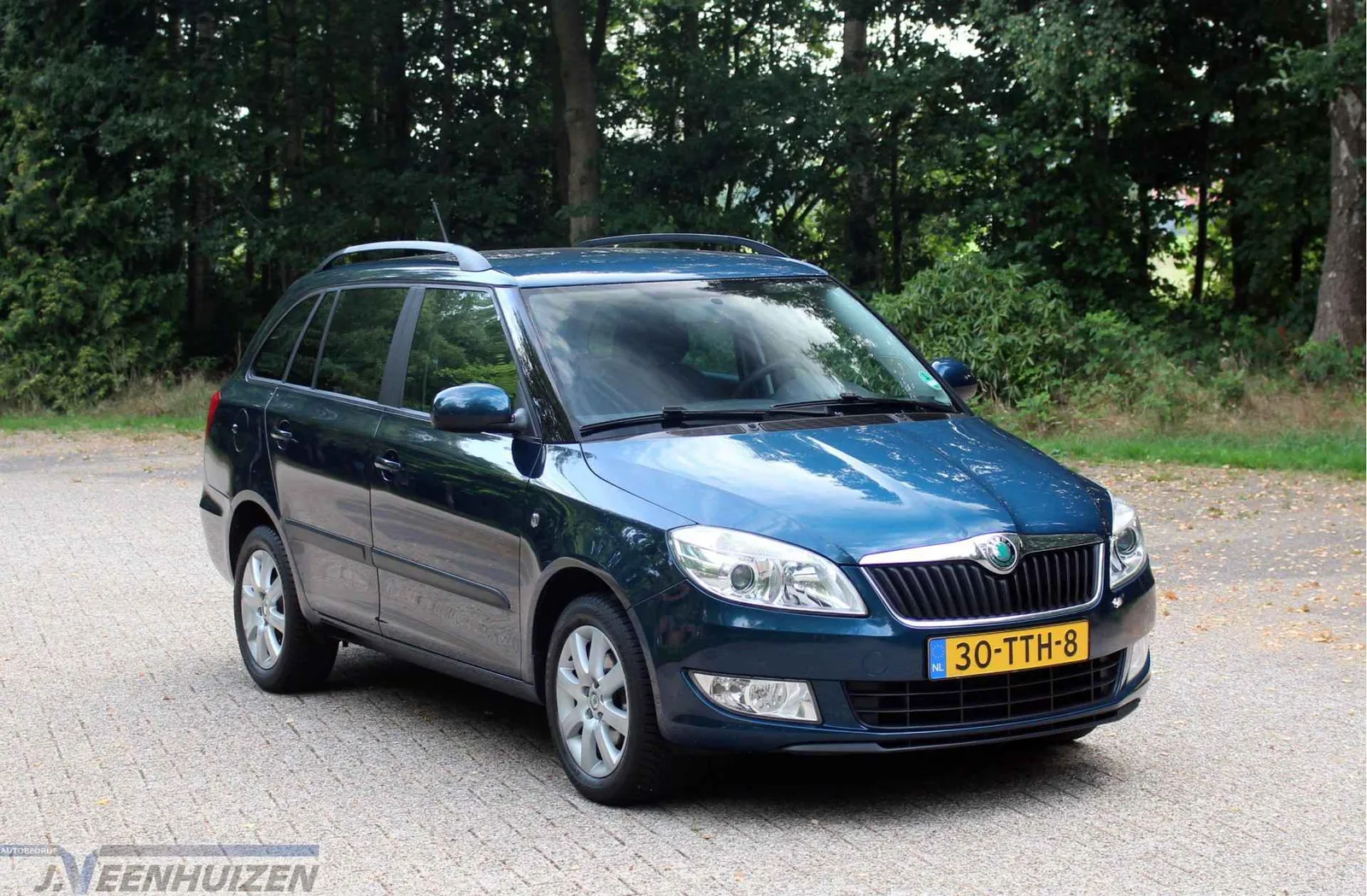 Škoda Fabia (2012) — foto 1
