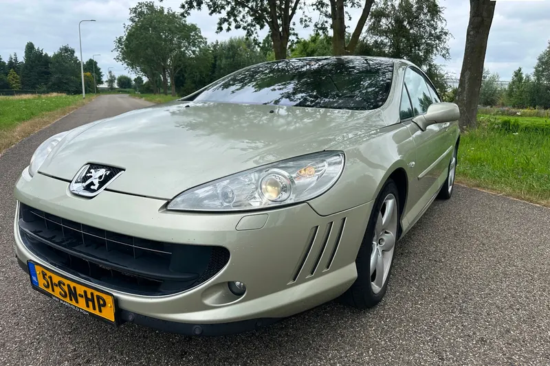 Peugeot 407 (2006)