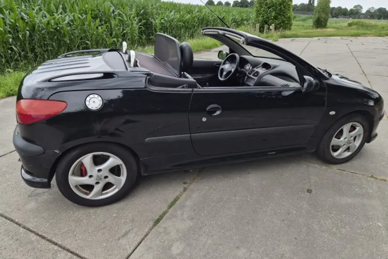 Peugeot 206 (2003)