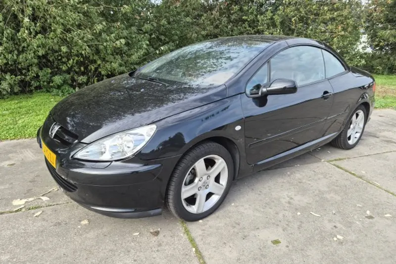 Peugeot 307 (2004)