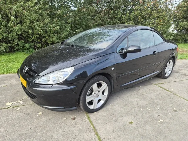 Peugeot 307 (2004) — foto 1