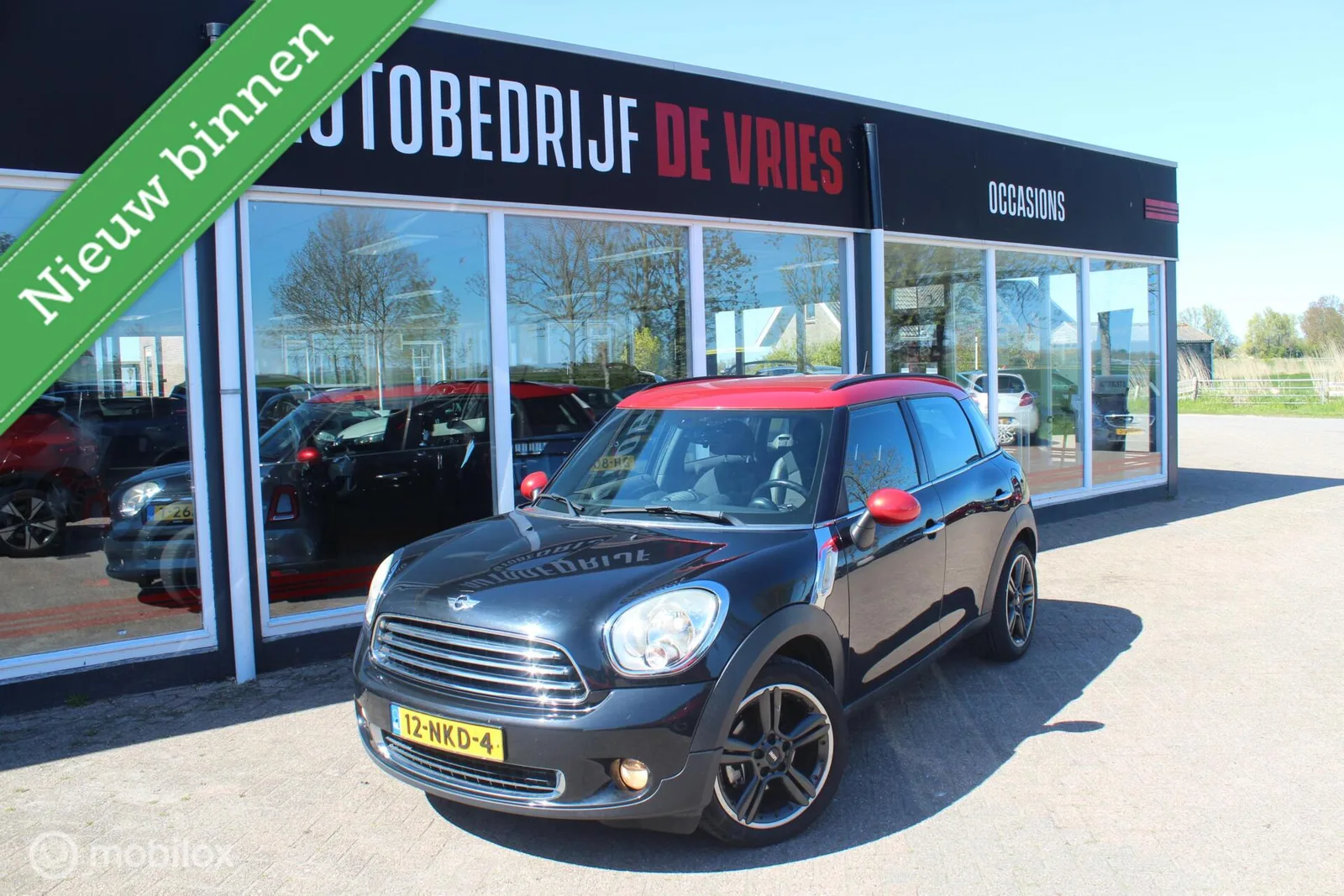 MINI Countryman (2010) — foto 1