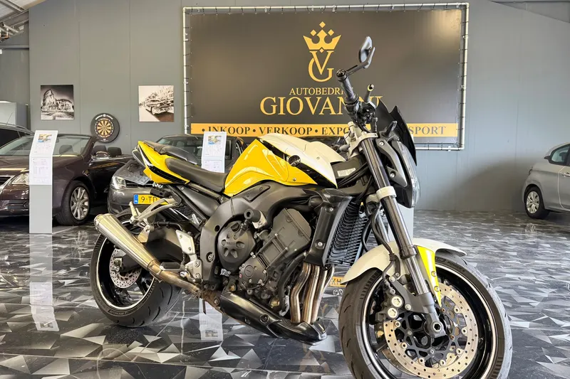 Yamaha FZ 1 N (2007)