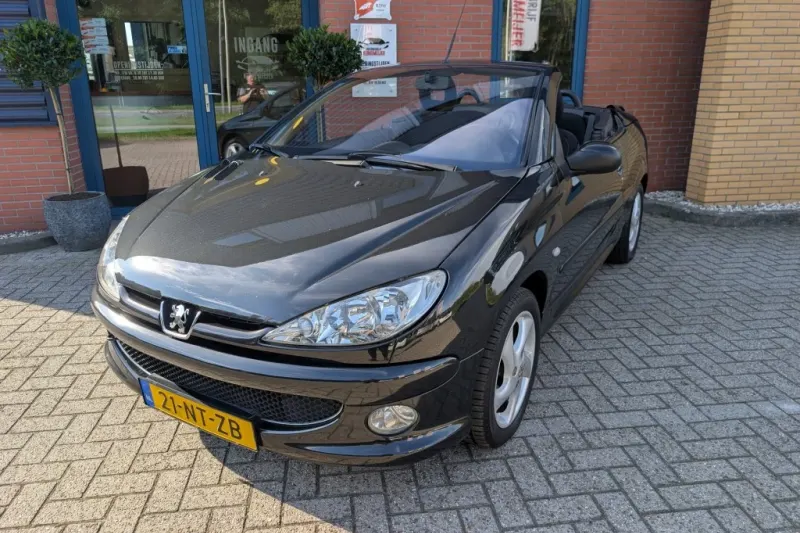 Peugeot 206 (2004)