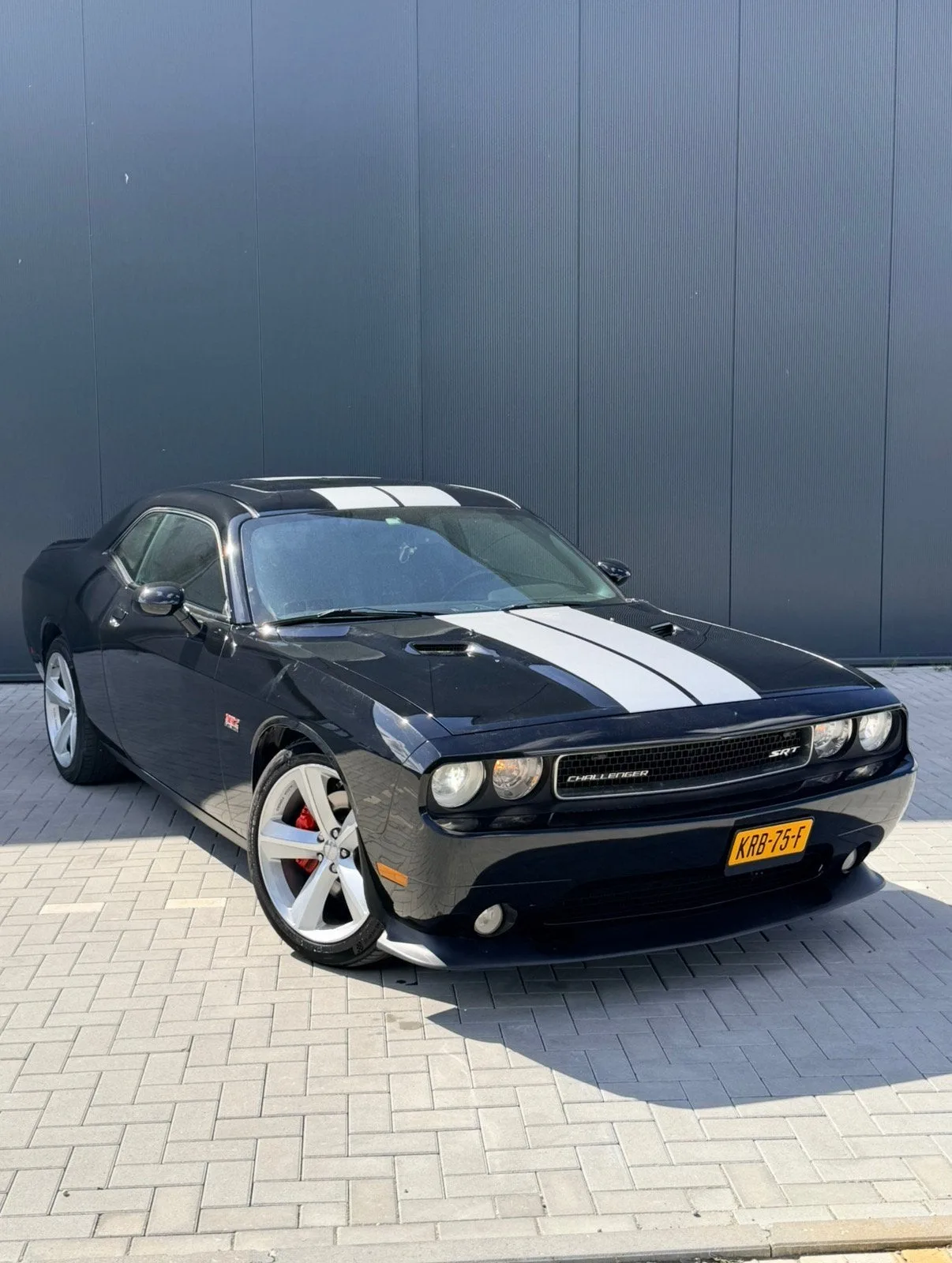 Dodge Dodge (2012) — foto 1