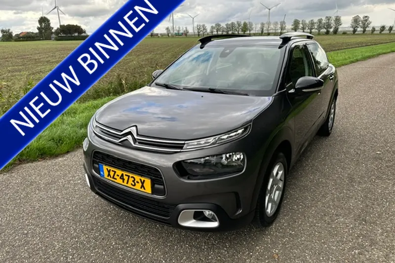Citroën C4 Cactus (2019)