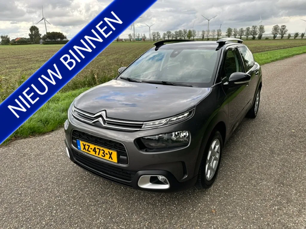 Citroën C4 Cactus (2019) — foto 1
