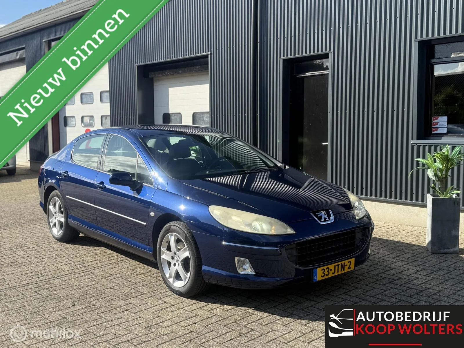 Peugeot 407 (2009) — foto 1