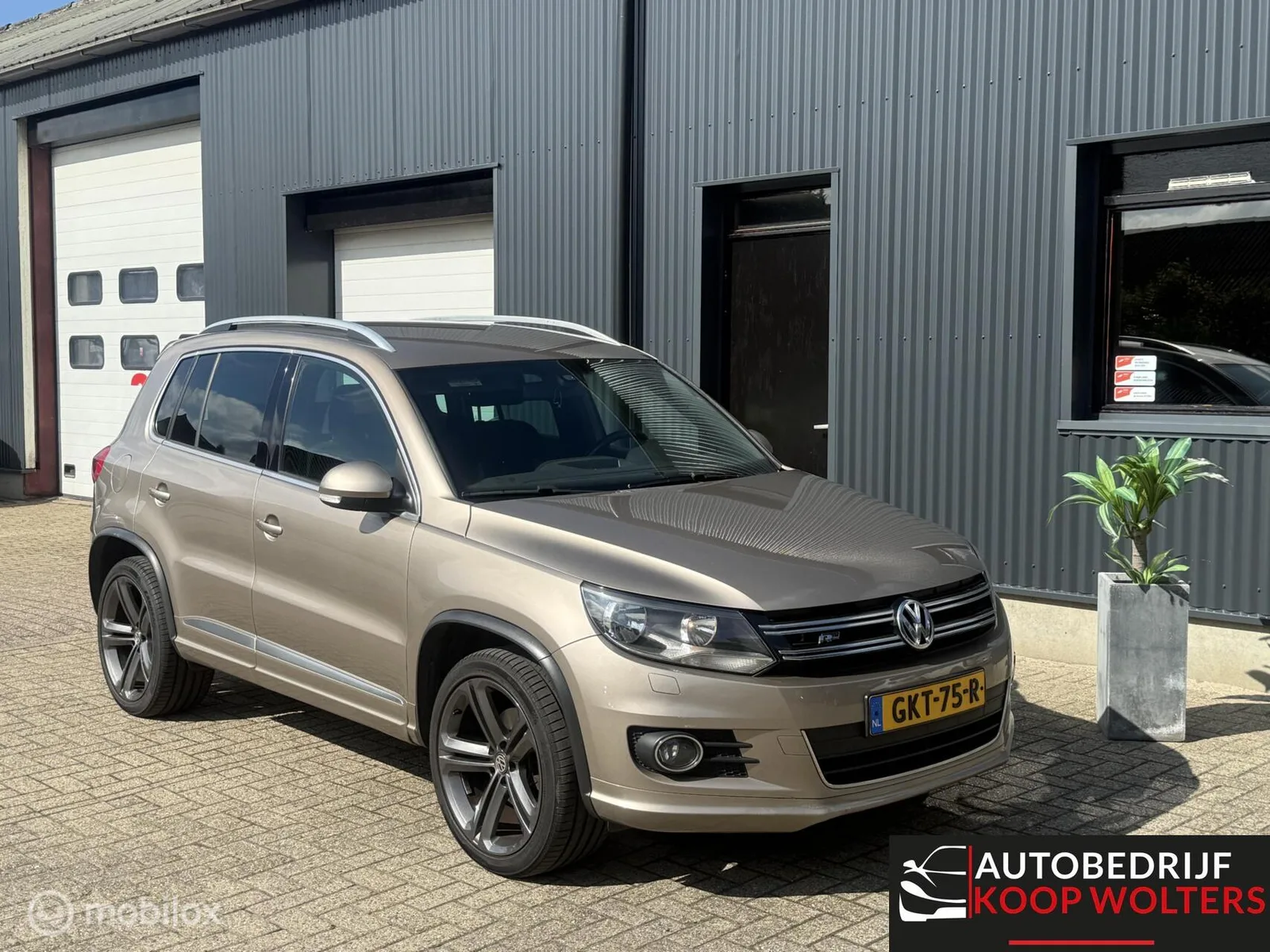 Volkswagen Tiguan (2014) — foto 1