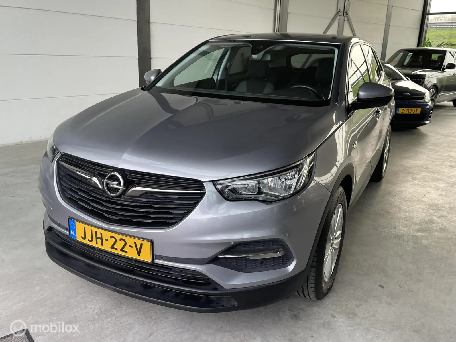 Opel Grandland (2019) — foto 1