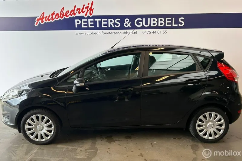 Ford Fiesta (2013)