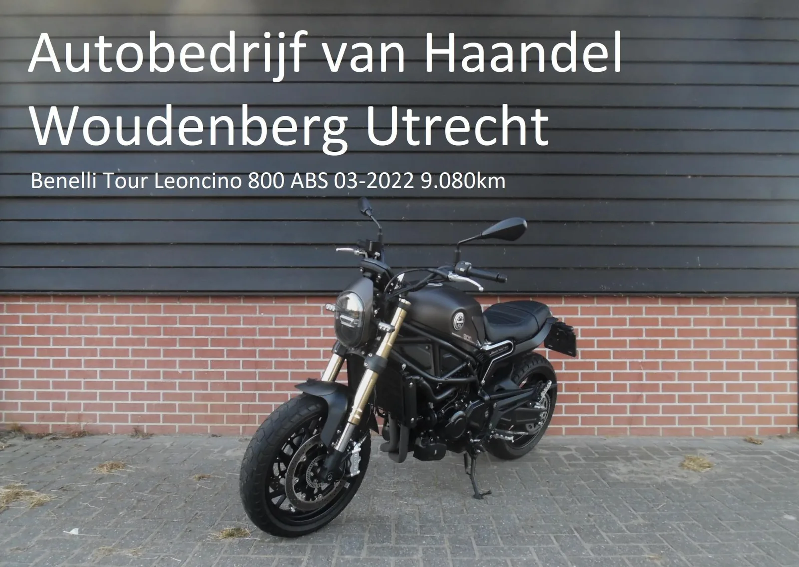 Benelli Leoncino 800 (2022) — foto 1