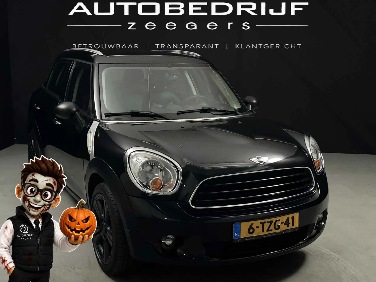 MINI Countryman (2011) — foto 1