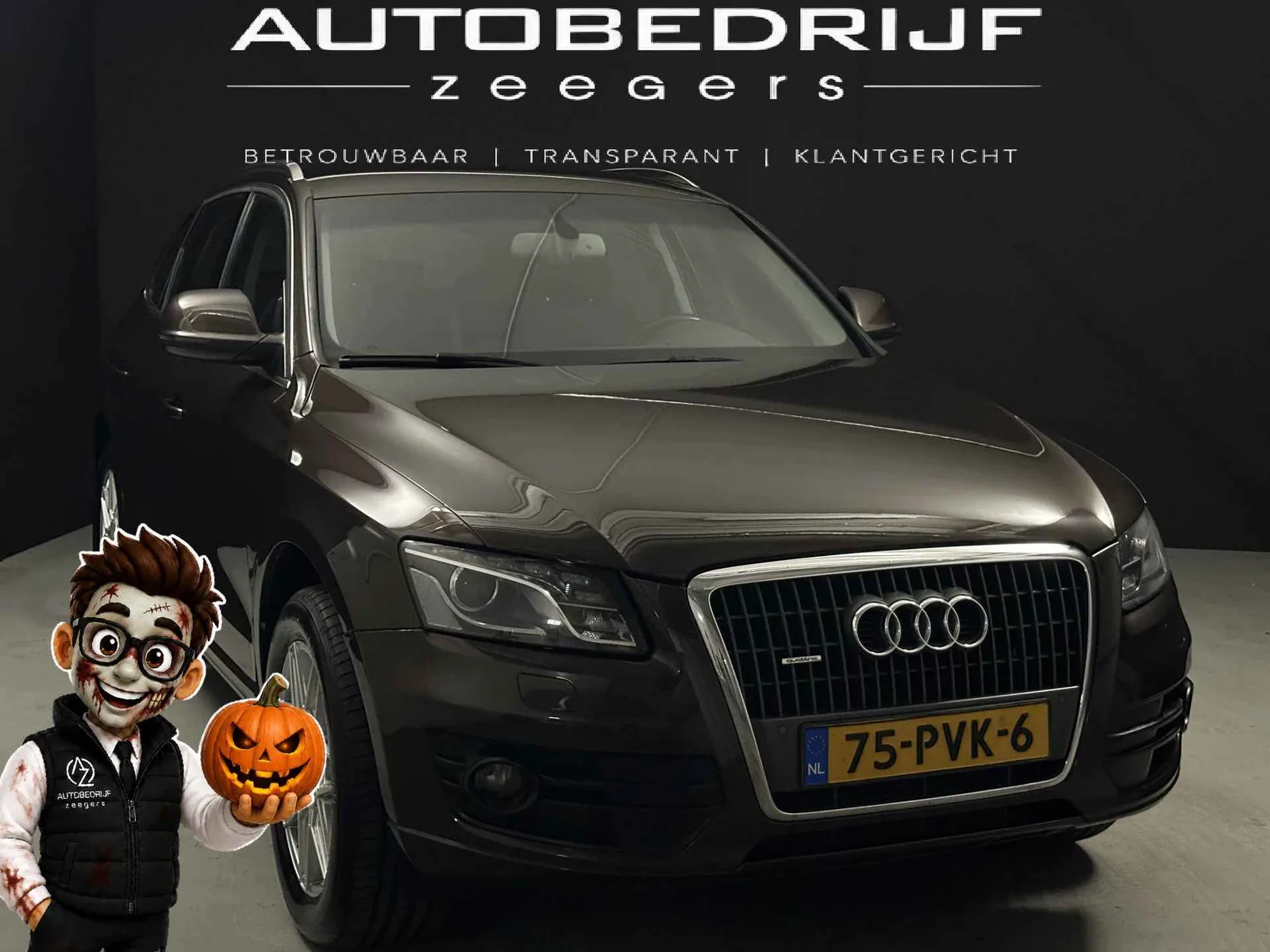 Audi Q5 (2011) — foto 1