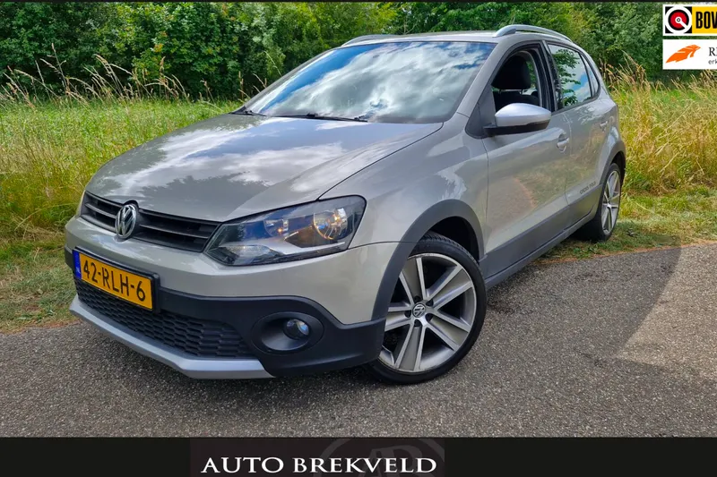 Volkswagen Polo (2011)