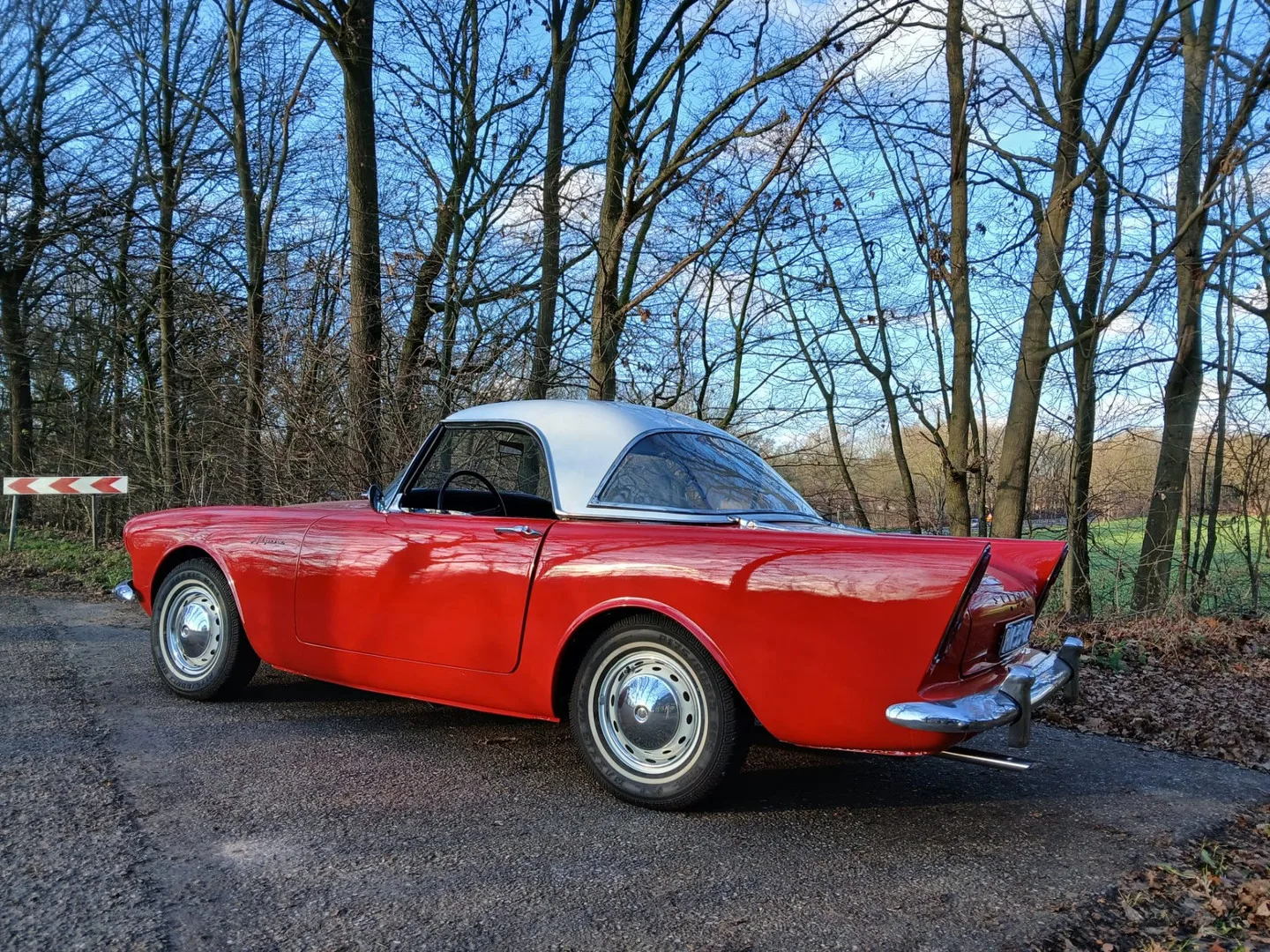 Alpine Serie (1960) — foto 1