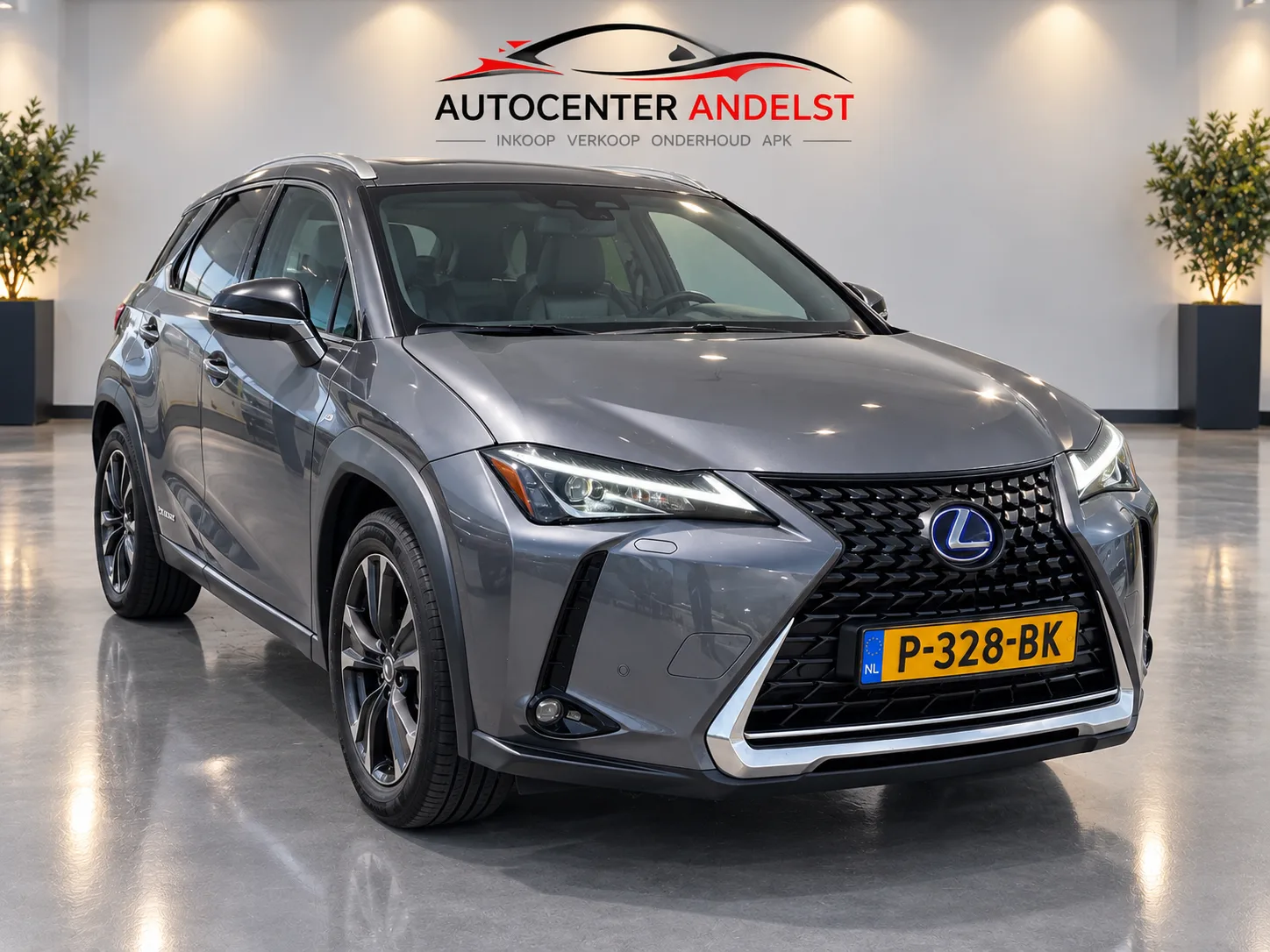 Lexus UX (2019) — foto 1
