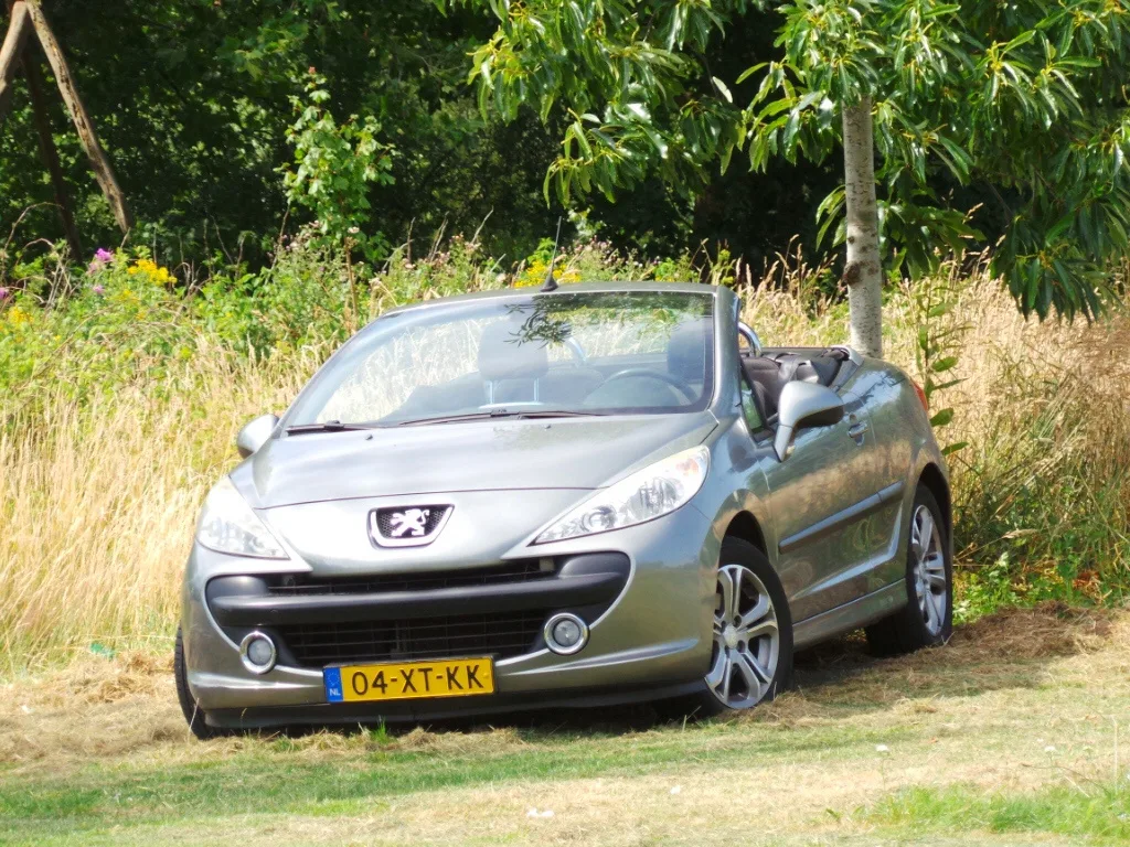 Peugeot 207 (2007) — foto 1
