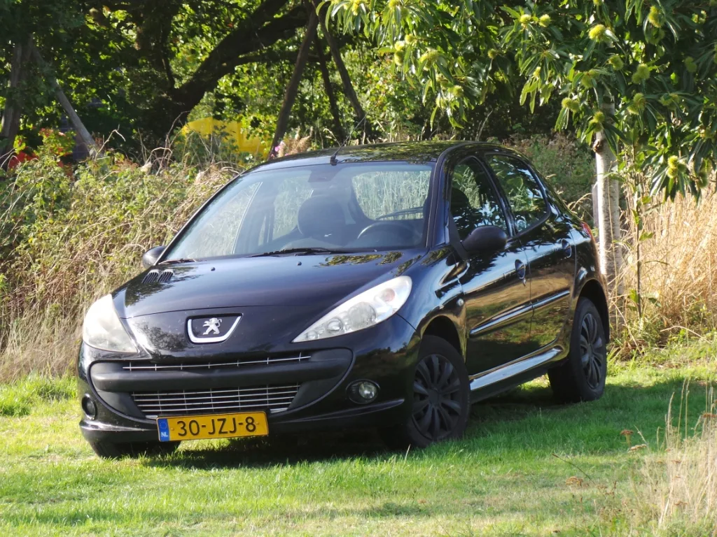 Peugeot 206+ (2009) — foto 1